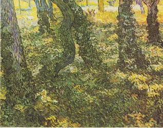 Onderhout met klimop